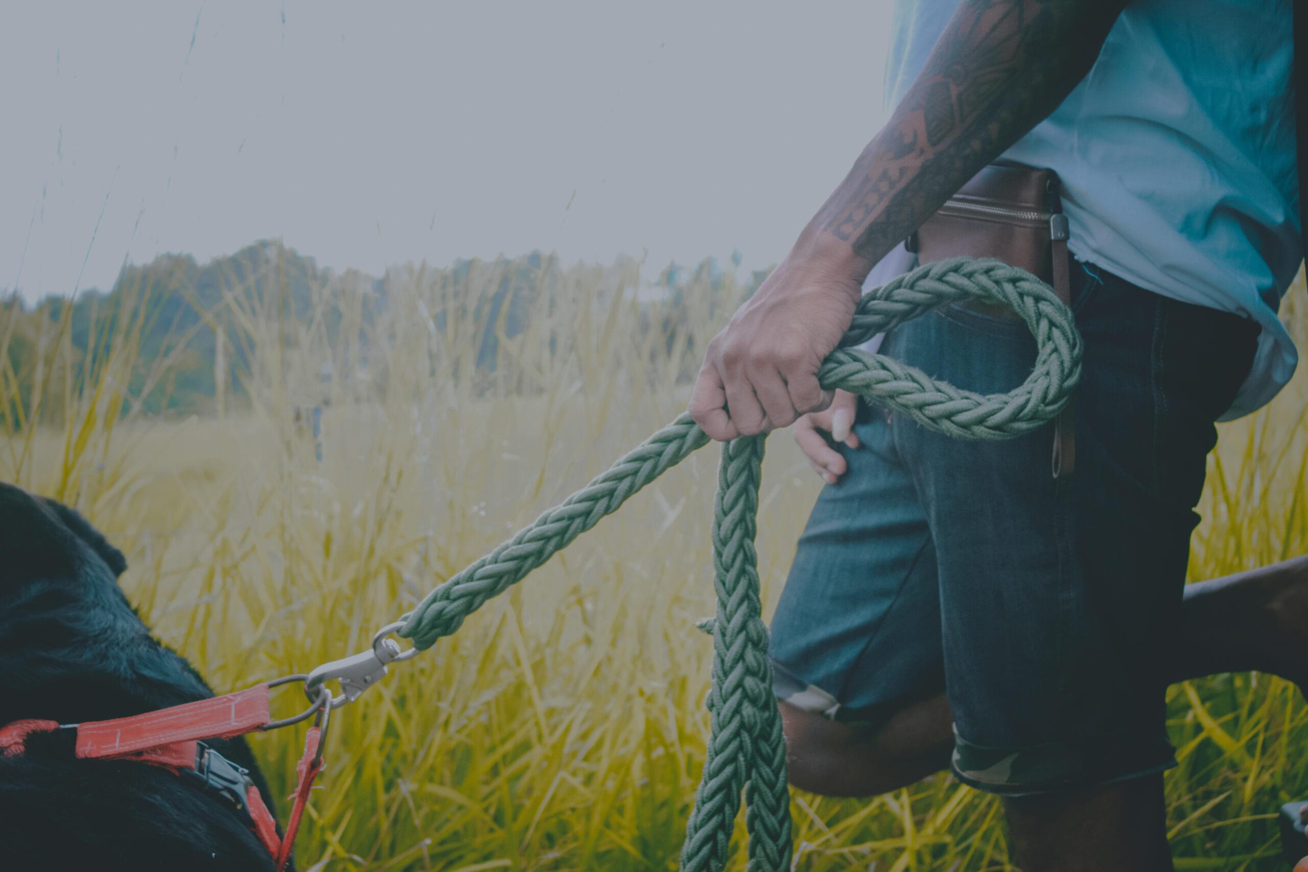 Mens Colordo Denim Short - Image 4